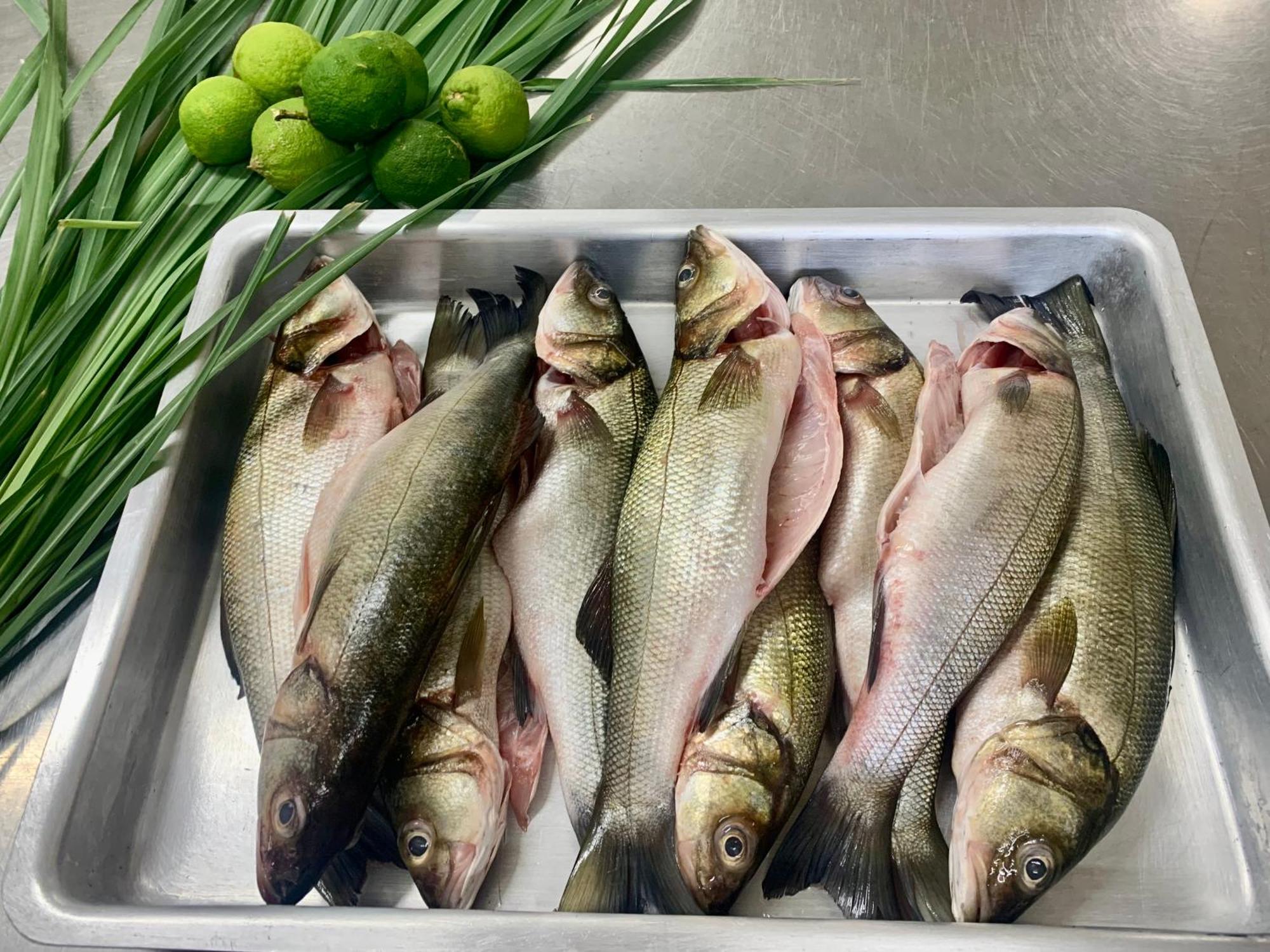 L'Hotel De Mon Pere Byblos Екстериор снимка